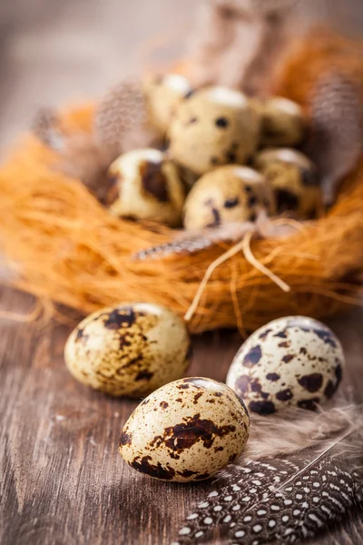 Easter eggs with nest — Stock Photo, Image