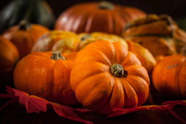 Thanksgiving en Halloween — Stockfoto