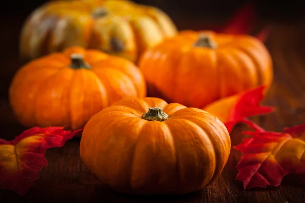 Thanksgiving och Halloween — Stockfoto