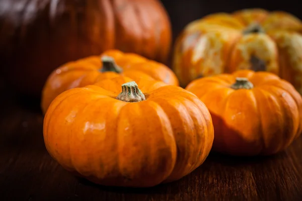 Ação de Graças e Halloween — Fotografia de Stock