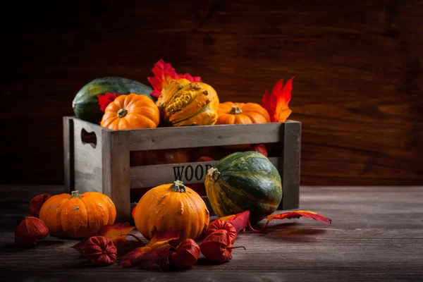 Thanksgiving och Halloween — Stockfoto