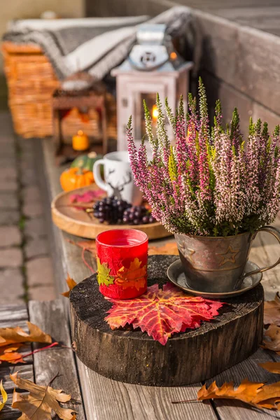 Herbstliche Gartendekoration Auf Terrasse Und Terrasse Mit Kürbissen Und Heidekraut — Stockfoto
