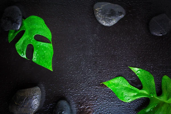 Composición Plana Con Piedras Hoja Monstera Sobre Fondo Negro Húmedo —  Fotos de Stock