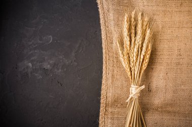 Tahıl kulakları. Çuval bezi üzerinde altın buğday başakları