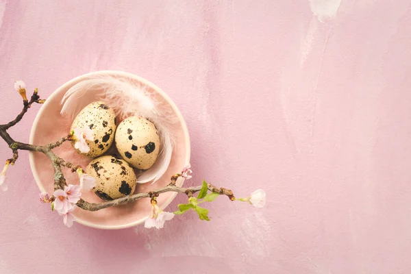 Paskalya Yumurtaları Vişne Dalıyla Pembe Tonda Kopya Alanı Ile Klasik — Stok fotoğraf