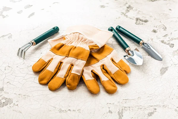 Garden gloves and gardening tools on old kitchen table