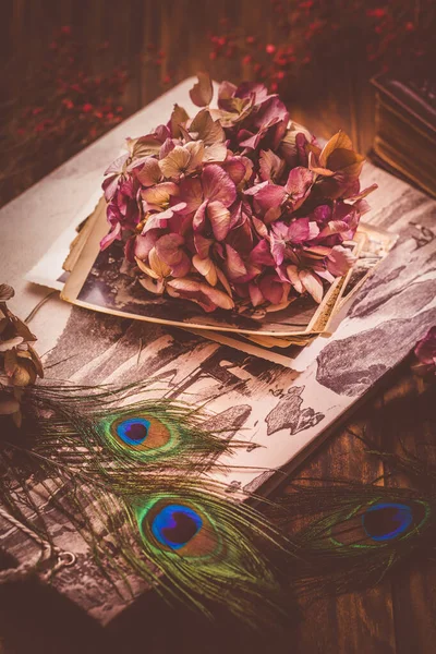 Memories - Old book and photo album, dried flowers and peacock feather eye in vintage style