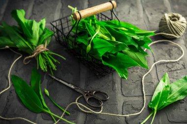 Vahşi sarımsak - Eski mutfak masasında bir demet Ramson veya ayı pırasası (Allium ursinum).