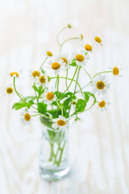 Mutfak masasındaki vazoda papatya çayı.