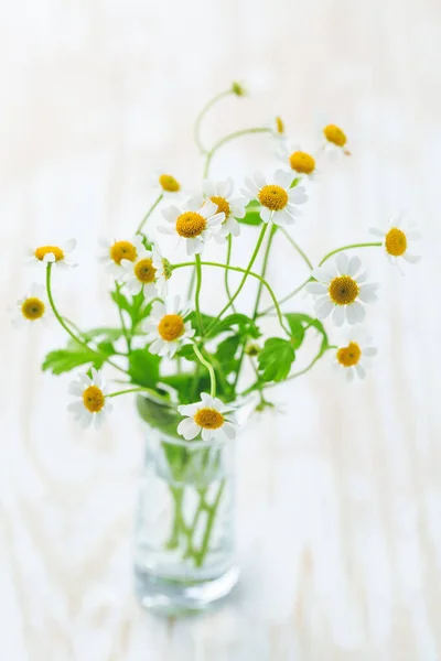 Camomile Vase Wooden Kitchen Table — Stock Photo, Image