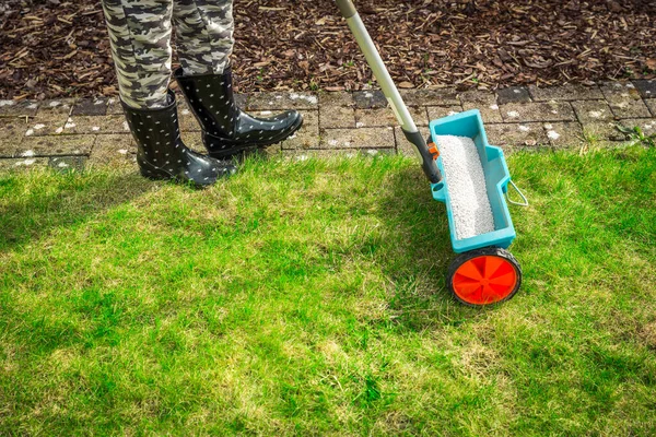 Çimenleri Gübrelemek Yeşil Çimenlikteki Gübre Yayıcısının Ayrıntıları — Stok fotoğraf