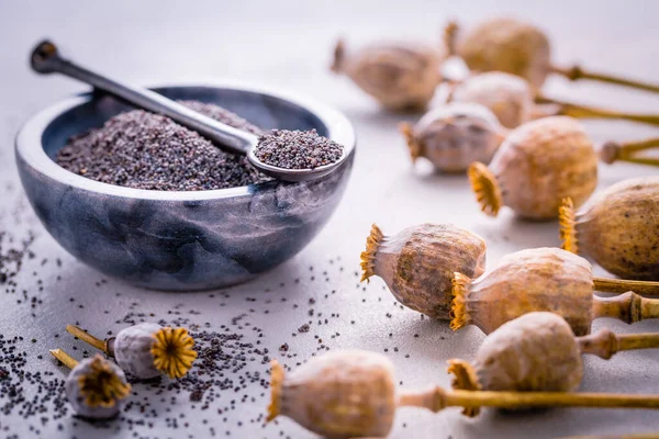 Ett Gäng Vallmohuvuden Och Skål Med Frön Köksbordet — Stockfoto