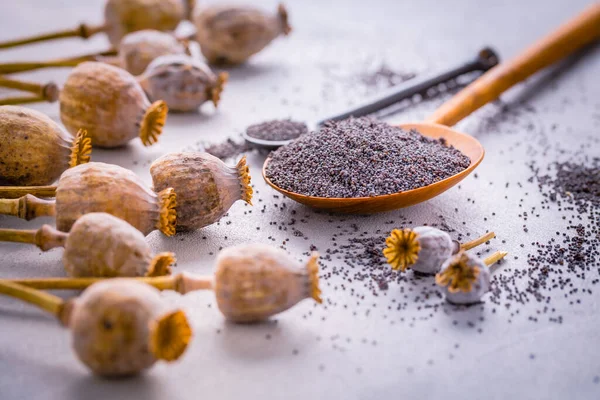 Stelletje Papaverkoppen Kommetje Met Zaden Keukentafel — Stockfoto