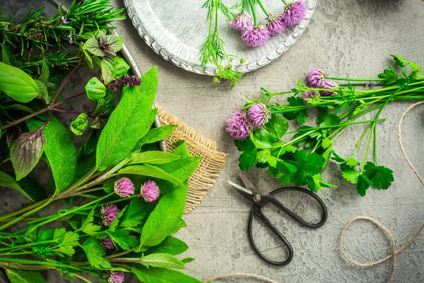 Frische Kräuter Mit Gartenschere Auf Küchentisch — Stockfoto