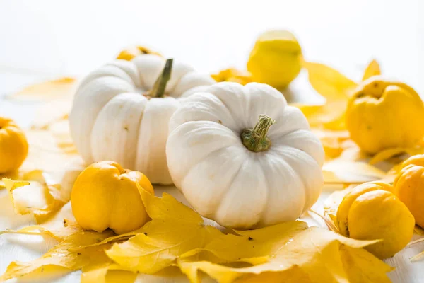 Decoración Calabaza Blanca Frutas Otoño Para Acción Gracias Sobre Fondo —  Fotos de Stock