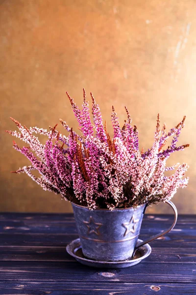 Erica Gracilis Planta Pote Cores Outonais Estilo Vintage — Fotografia de Stock