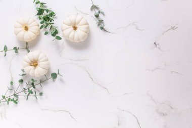 Beyaz arkaplanda okaliptüs dalları olan beyaz balkabakları