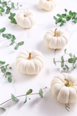 Beyaz arkaplanda okaliptüs dalları olan beyaz balkabakları