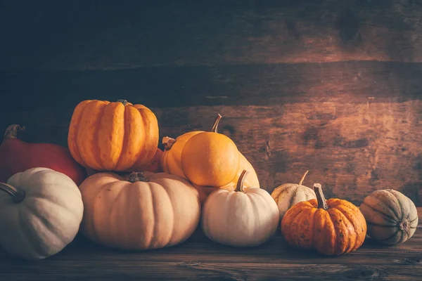 Feliz Acción Gracias Naturaleza Muerta Con Diferentes Calabazas Hojas Otoño —  Fotos de Stock