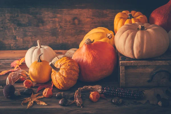 Frohe Erntedank Stillleben Mit Verschiedenen Kürbissen Und Herbstblättern Auf Holzgrund — Stockfoto