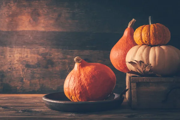 Happy Thanksgiving Stilleven Met Verschillende Pompoenen Herfstbladeren Houten Ondergrond — Stockfoto