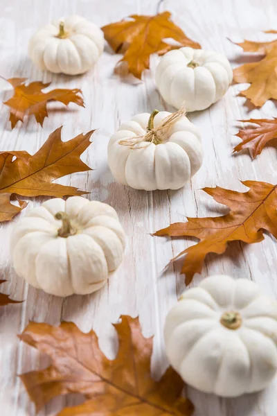 Happy Thanksgiving Stilleven Met Witte Pompoenen Herfstbladeren Witte Houten Ondergrond — Stockfoto