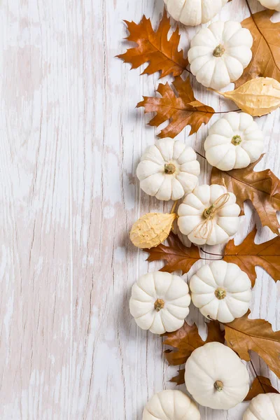 Šťastné Díkůvzdání Pozadí Bílými Dýněmi Podzimní Listí Bílém Dřevěném Pozadí — Stock fotografie