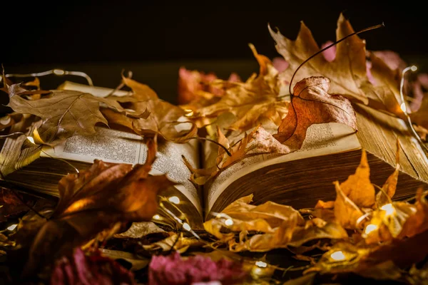 Old Book Candle Autumn Leaves Vintage Style — Stock Photo, Image
