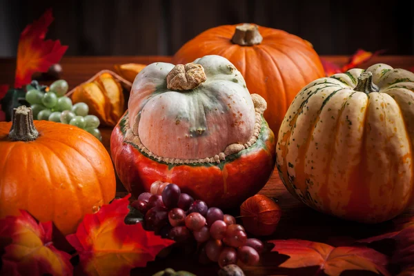 Kürbisse zum Erntedank und zu Halloween — Stockfoto