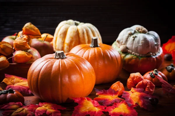 Zucche per il Ringraziamento e Halloween — Foto Stock