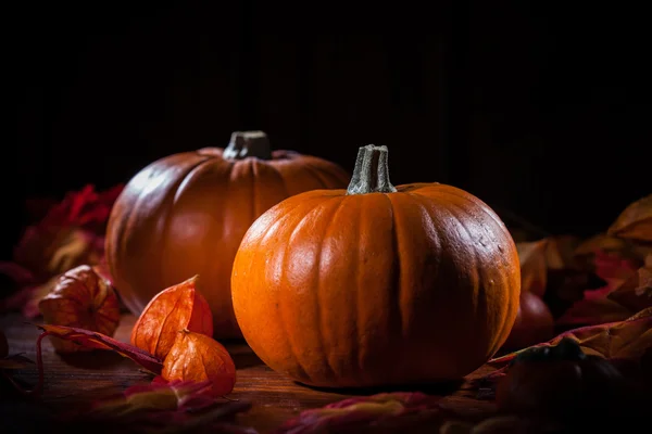 Pompoenen voor thanksgiving en halloween — Stockfoto