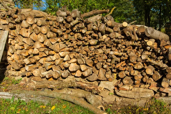Pile of wood logs in the garden — Stock Photo, Image