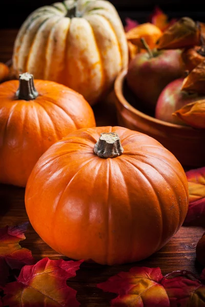 Pompoenen voor thanksgiving en halloween — Stockfoto