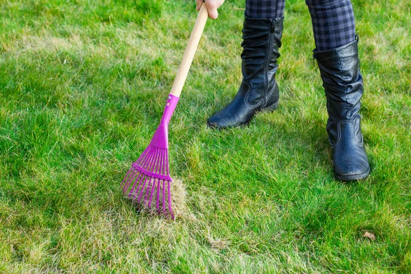 Cleaning green lawn by rake — Stock Photo, Image