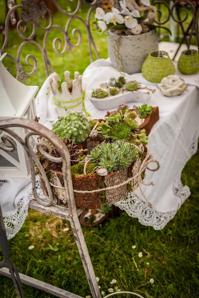 Decoração do jardim estilo chique gasto — Fotografia de Stock