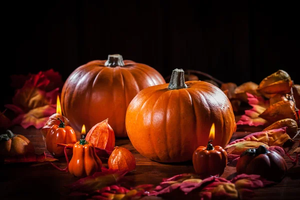 Sütőtök, a hálaadó és a halloween — Stock Fotó