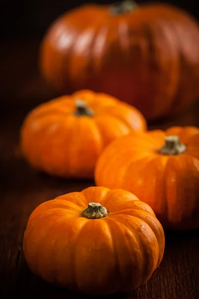 Kürbisse zum Erntedank — Stockfoto