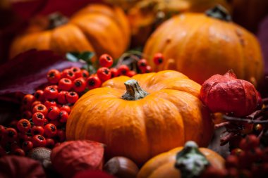 Kabaklar ve Şükran