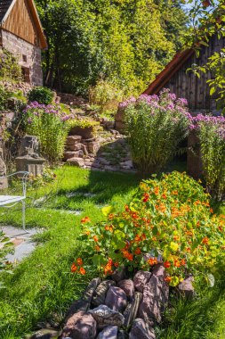 Kırsal alanda, çeşitli bitkiler ve taş bahçeleri var.