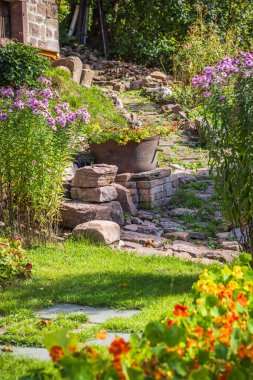 Kırsal bir bahçede çiçek saksısı, çeşitli bitkiler ve taş bahçesi var.