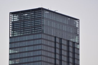 Modern gökdelen görünümü