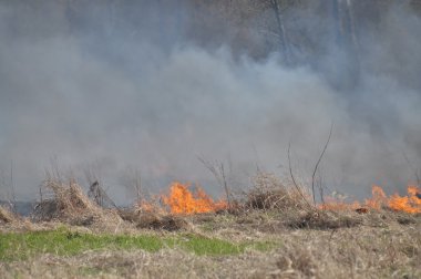 Vistula tarafından ateş