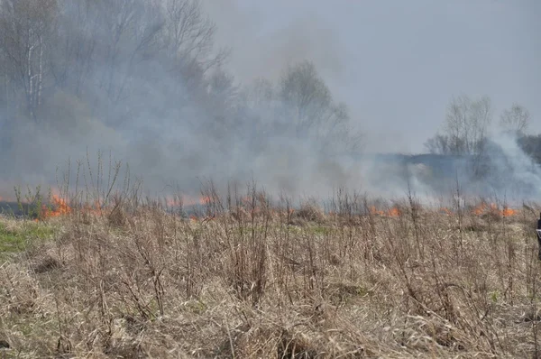 Fire by the Vistula — Stock Photo, Image