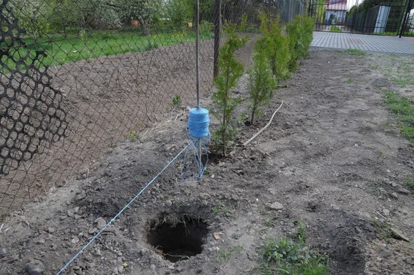 Digging — Stock Photo, Image