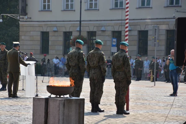 Polska armén dag — Stockfoto