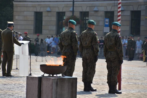 Journée de l'armée polonaise — Photo