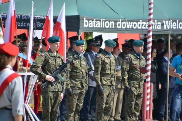 Polska armén dag — Stockfoto