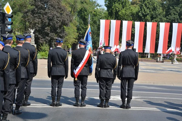 Lengyel hadsereg Day — Stock Fotó