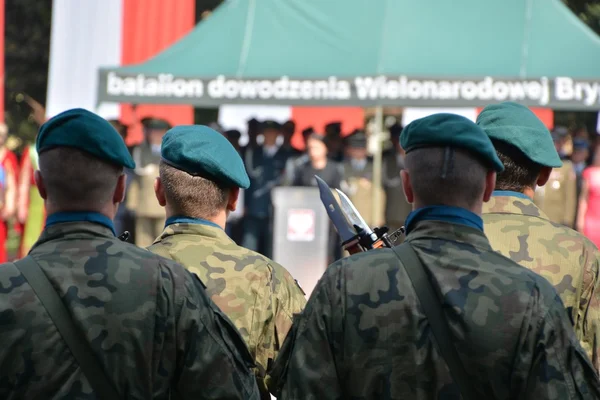 Polska armén dag — Stockfoto