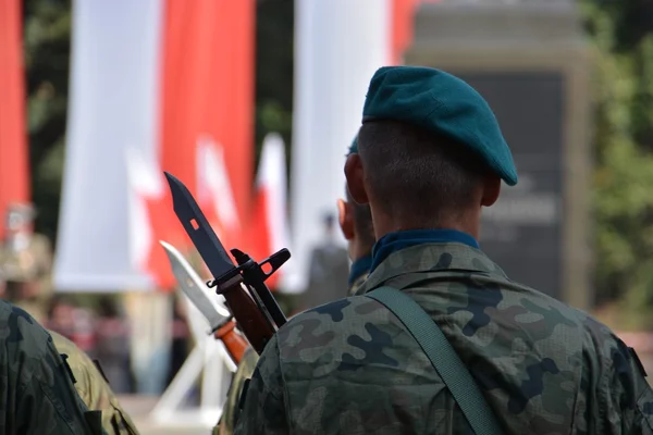 День польской армии — стоковое фото